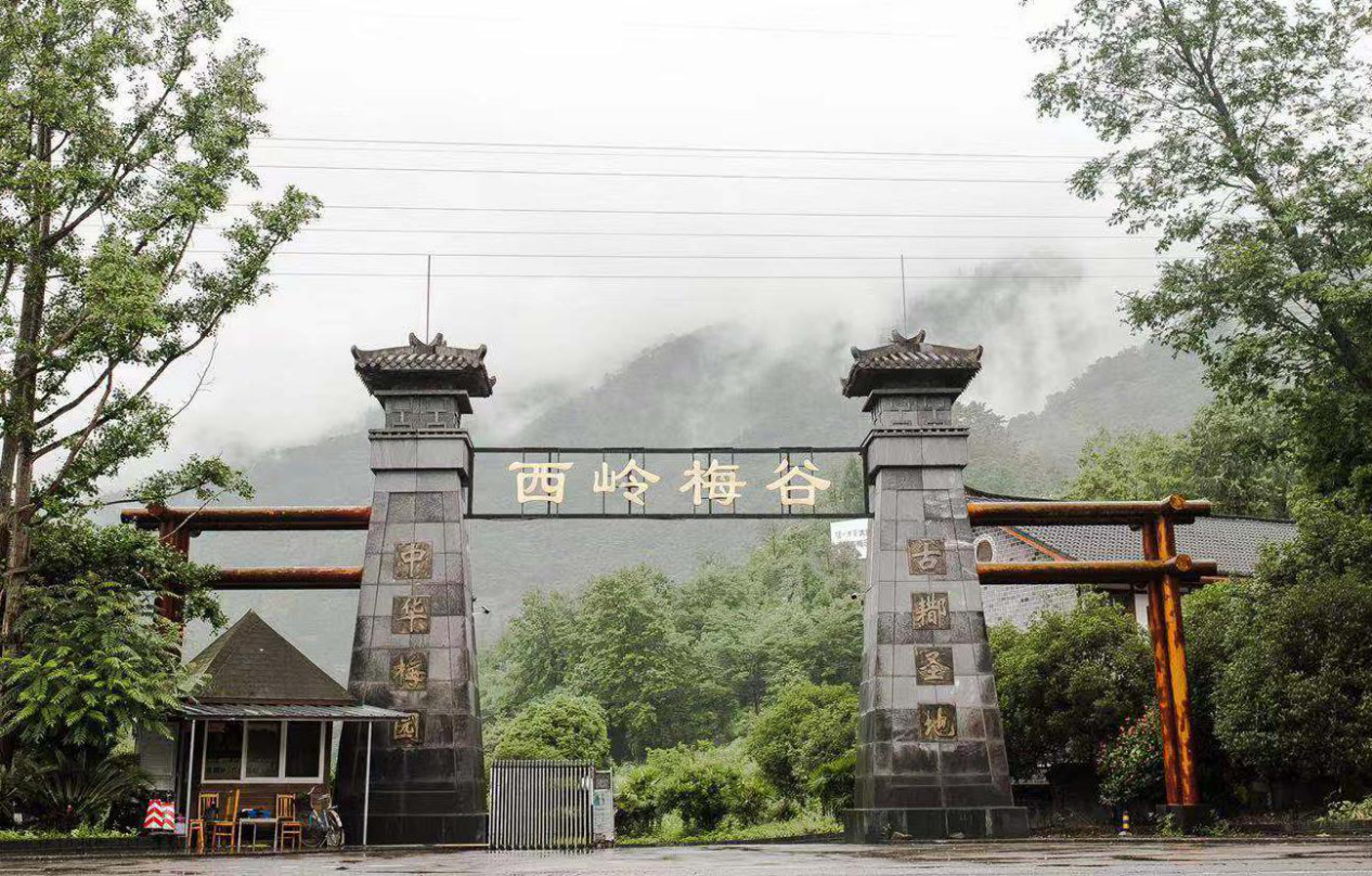 冰青青梅果酒将携爆款新品亮相2021春糖会 预测会成为展会爆款